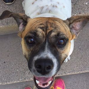 Meet your Posher, Emma